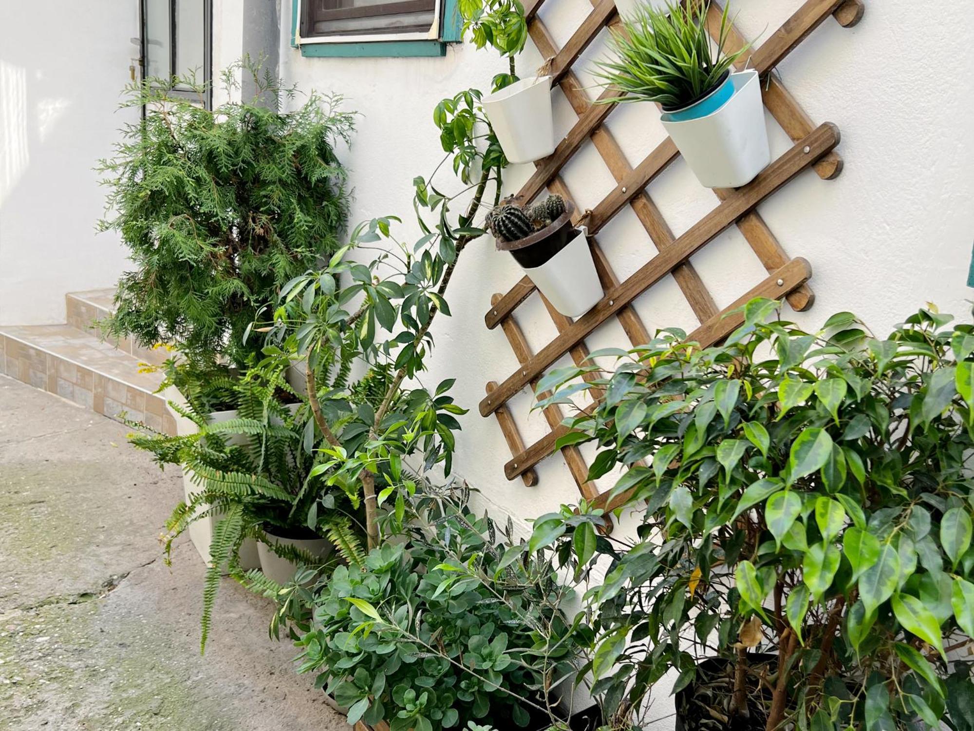 Matija Apartment Novi Sad Dış mekan fotoğraf